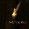 Noble Trinity Enterprises